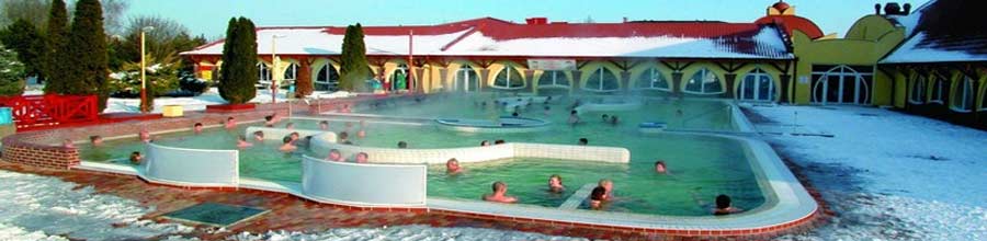 Пансионат Rozália Villa Anna Veľký Meder проживание апартаменты Словакия